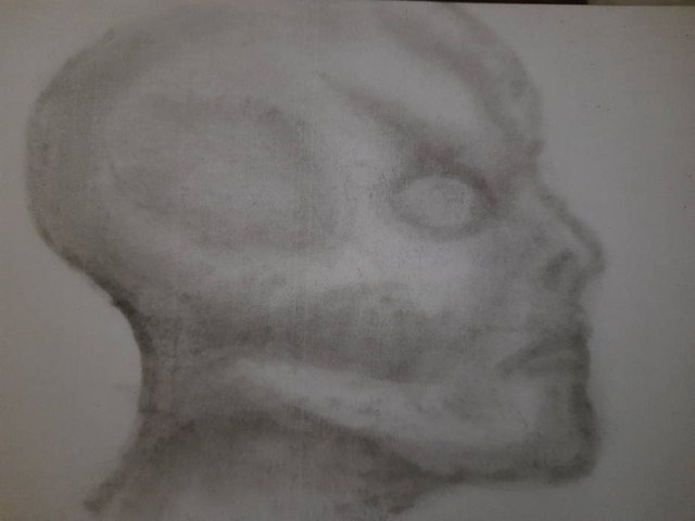 20250704_102402.jpg