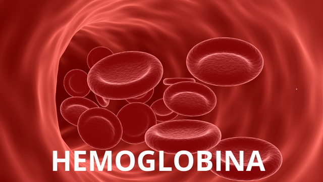 Hemoglobina (2).png