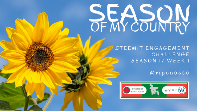 Blue Yellow Summer Season Facebook Cover (1).png