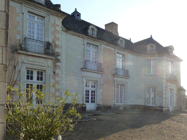 Château_d'Orgemont_-_Angers_-_20110119.jpg