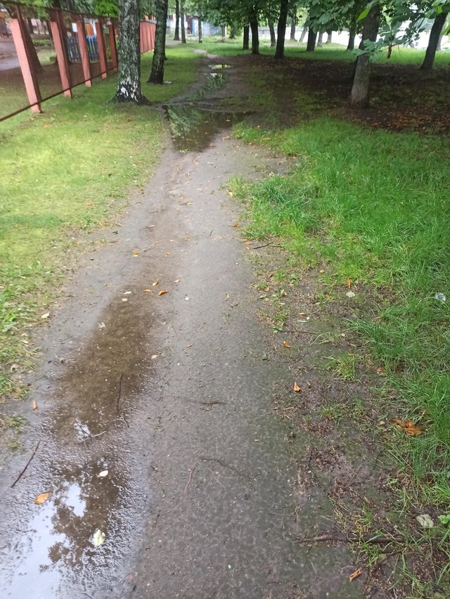 IMG_20250709_080722.jpg