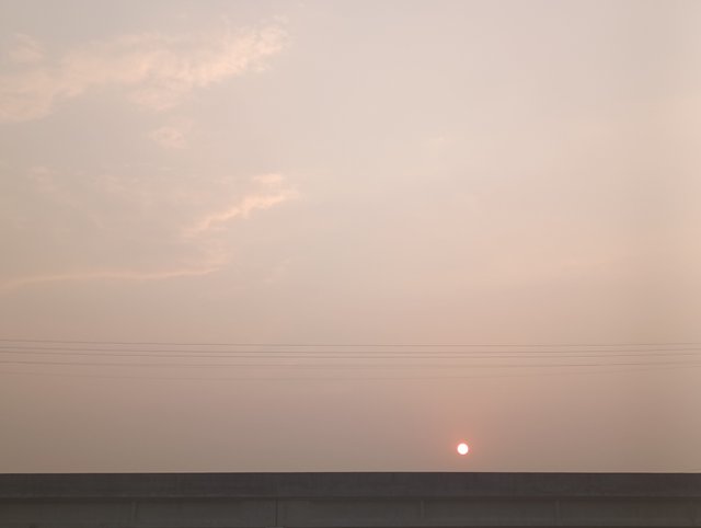 1000002223.jpg