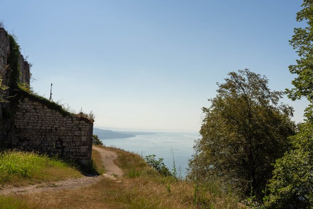 DSC07002.jpg