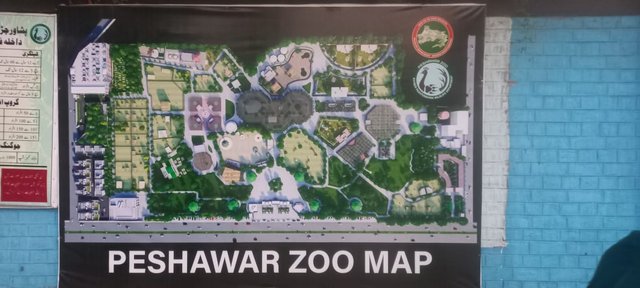Map of Zoo.jpeg