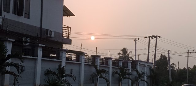 IMG_20250108_175817_715.jpg