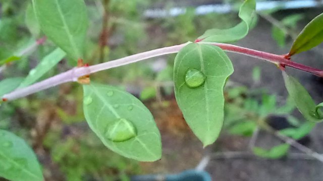 20250814_182349.jpg