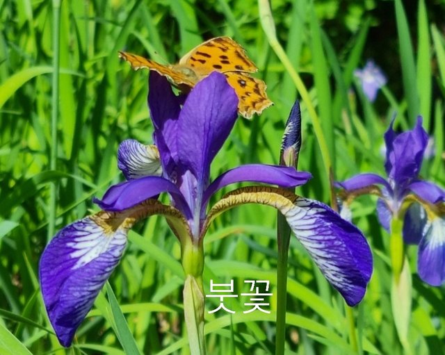 SmartSelect_20210614-110404_Gallery.jpg
