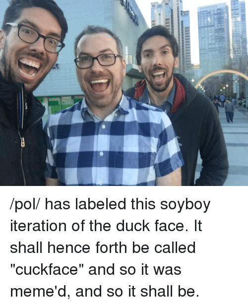 pol-has-labeled-this-soyboy-iteration-of-the-duck-face-30164413.png