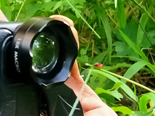 IMG20211223164633.jpg