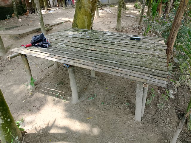1000046259.jpg