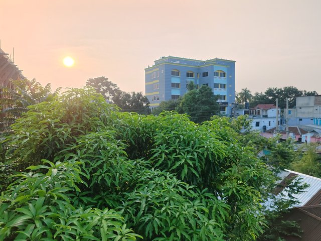 1000063384.jpg