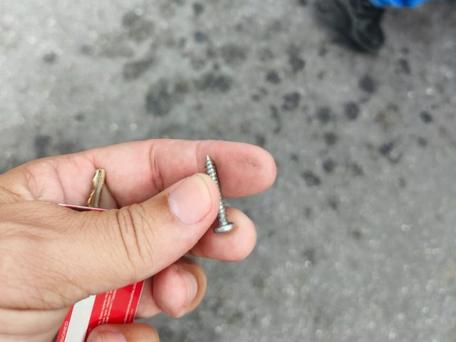 1000309033.jpg