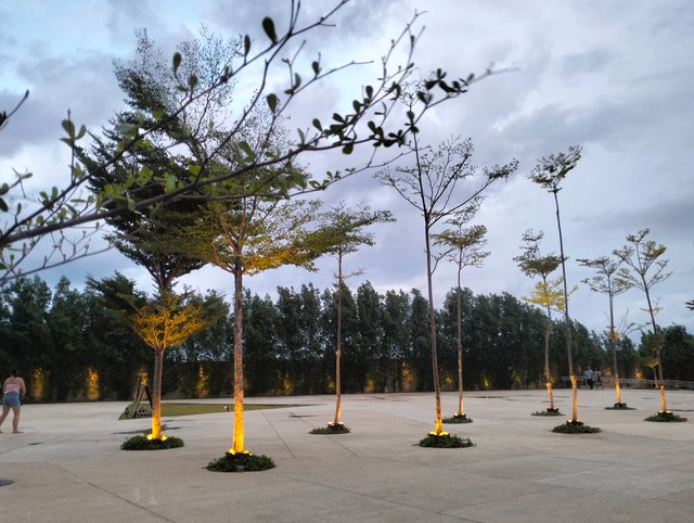 IMG20250807175044.jpg