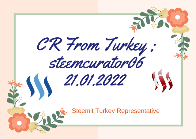 Second Weekly -steemcurator03 Turkey Curator Report.png