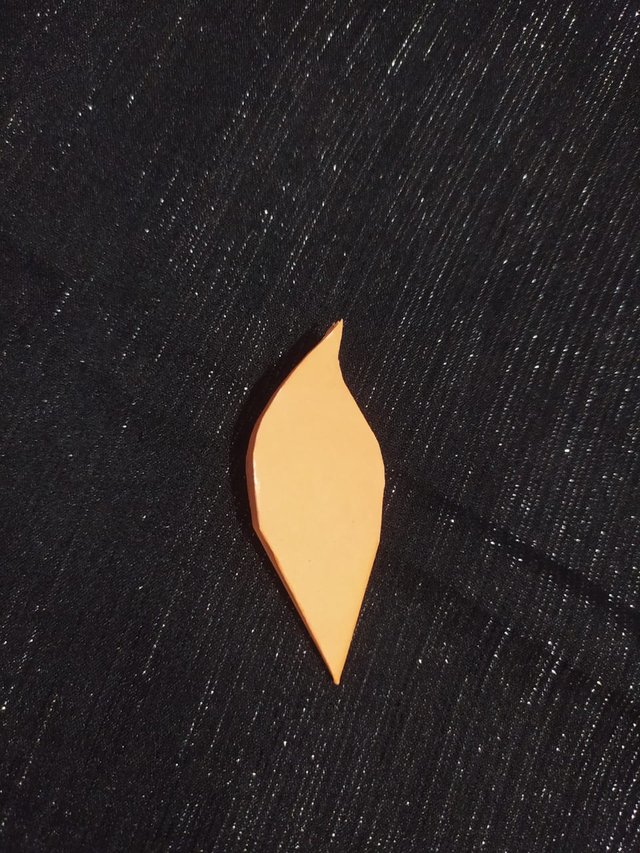 1000010294.jpg
