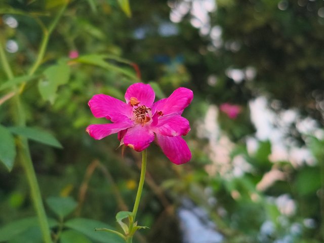 1000052743.jpg