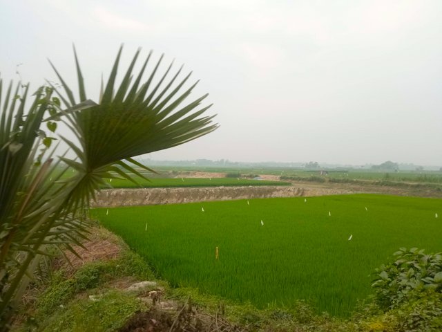 IMG_20250321_091049.jpg
