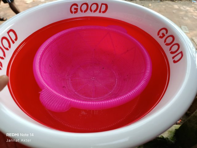 1000003024.jpg