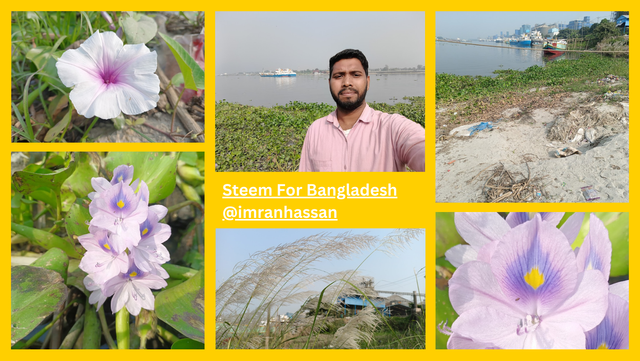 Steem For Bangladesh @imranhassan (31).png