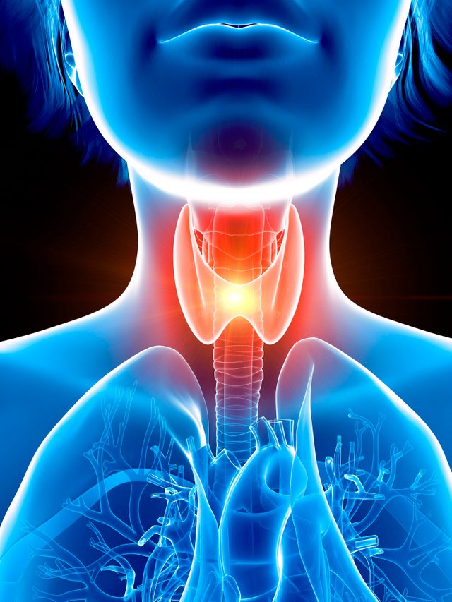 thyroid-gland-a810de053486473aa7ea956388becaaf-3071049172.jpg