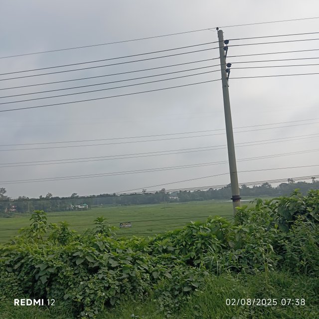 1000026266.jpg