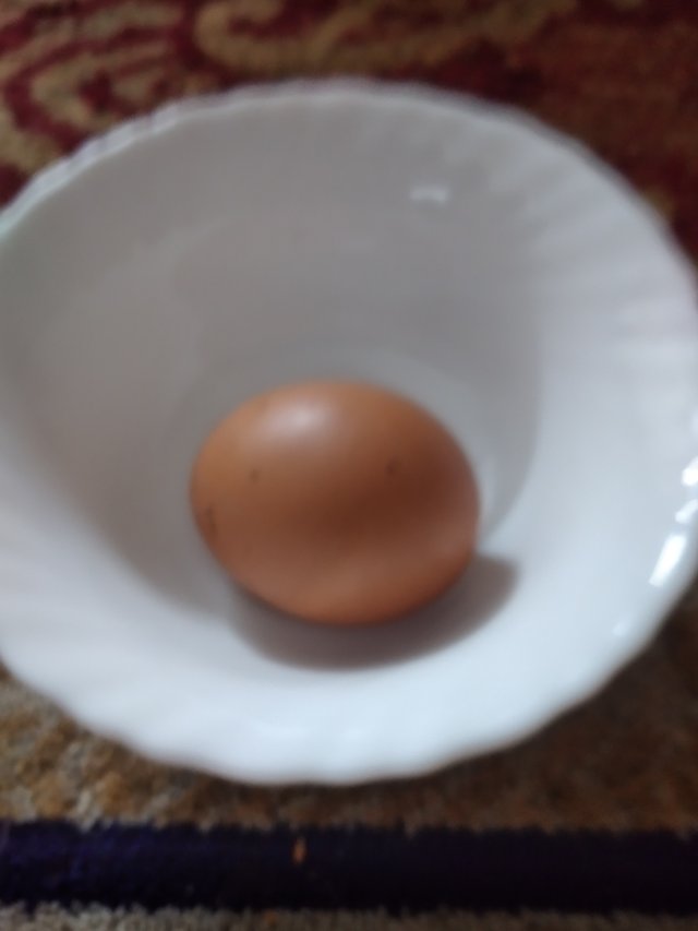20250705_124111.jpg