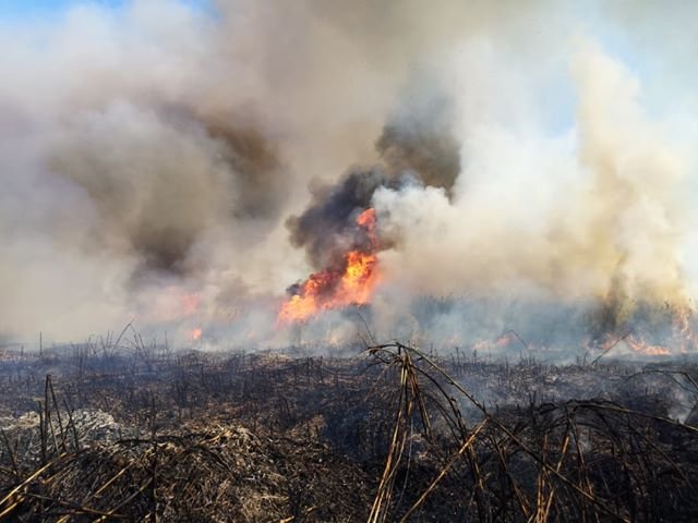 пожар Ларнака май 2020 (13).jpg