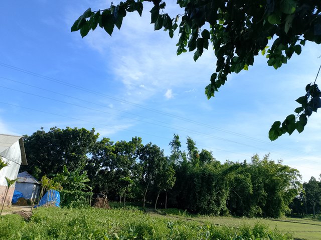 1000045802.jpg