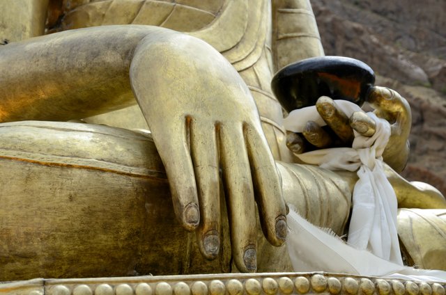 buddha-s-hand-2021-08-26-17-24-40-utc.jpg