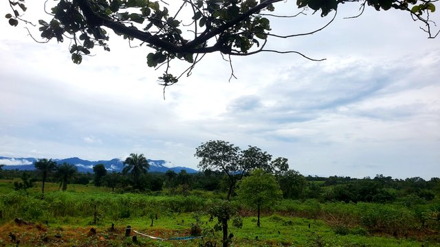 20250916_120928.jpg
