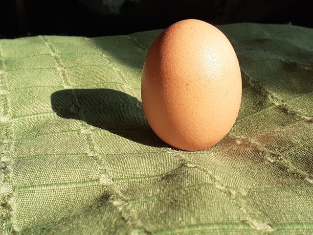 20241106_114516.jpg