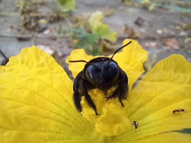 20221128_073659.jpg