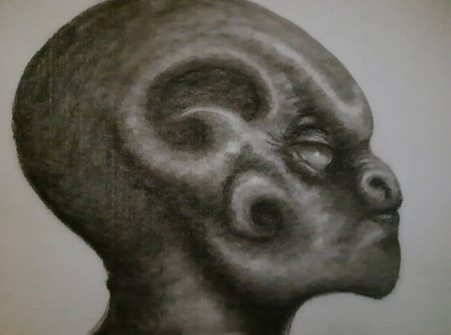 20250627_105413.jpg