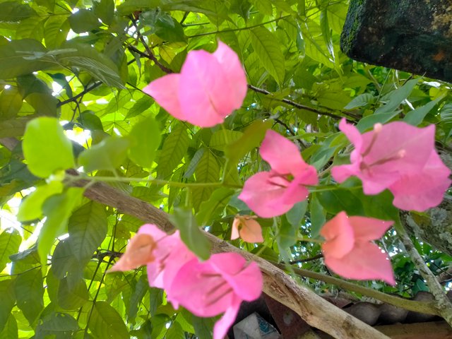 IMG20250716105310.jp