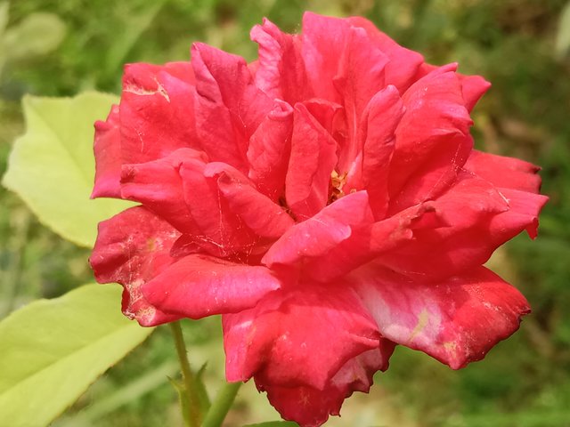 IMG_20250518_064110.jpg