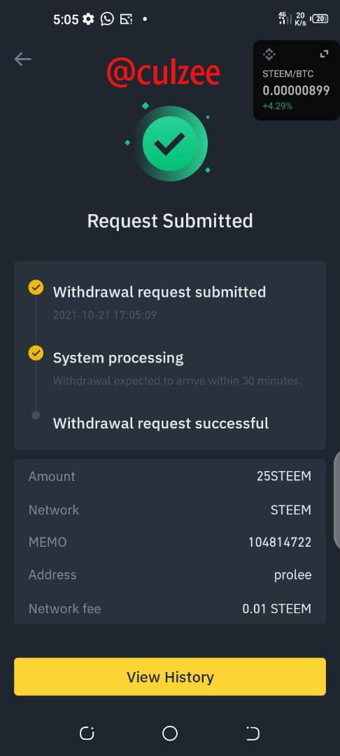 Steem Submitted.jpg