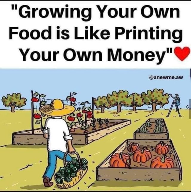 growing-your-own-food-is-printing-money.jpg