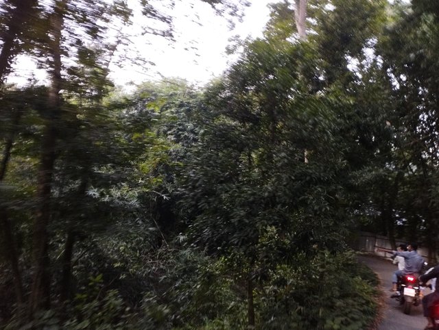 IMG_20231026_172110.jpg