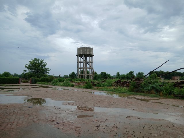 1000062621.jpg
