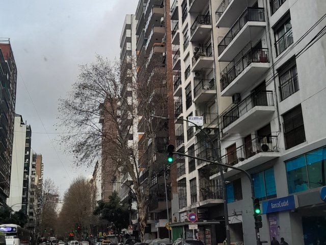1001601538.jpg