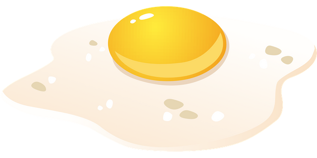 egg-575756_1280.png