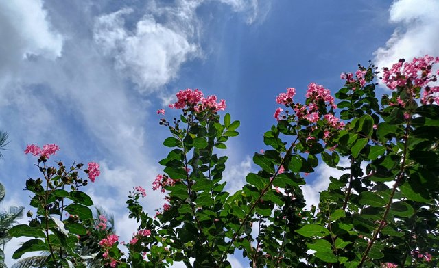 20250626_124041.jpg