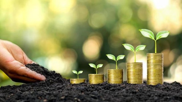 hands-that-are-putting-soil-on-trees-growing-on-gold-coins-and-natural-background-concept-of-successful-financial-growth-and-business-management-photo.jpg