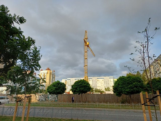 20250807_065950.jpg