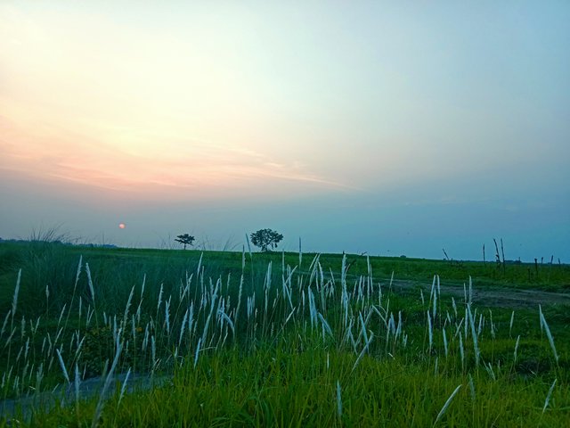 IMG_20250605_214237.jpg