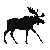 small moose.png