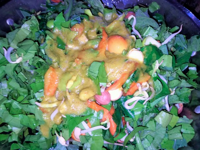 IMG20250703113455.jpg