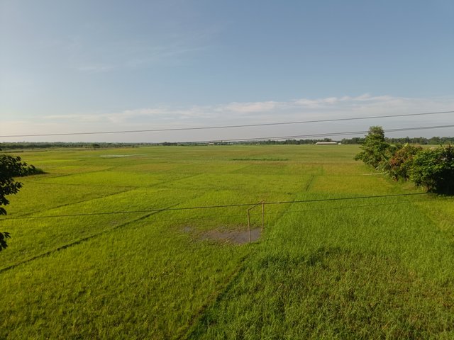 IMG20250612073821.jpg