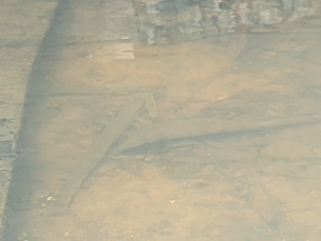 1000733734.jpg