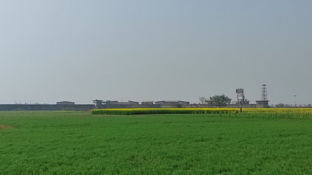 IMG_20210106_133058.jpg